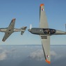 Formationsflug